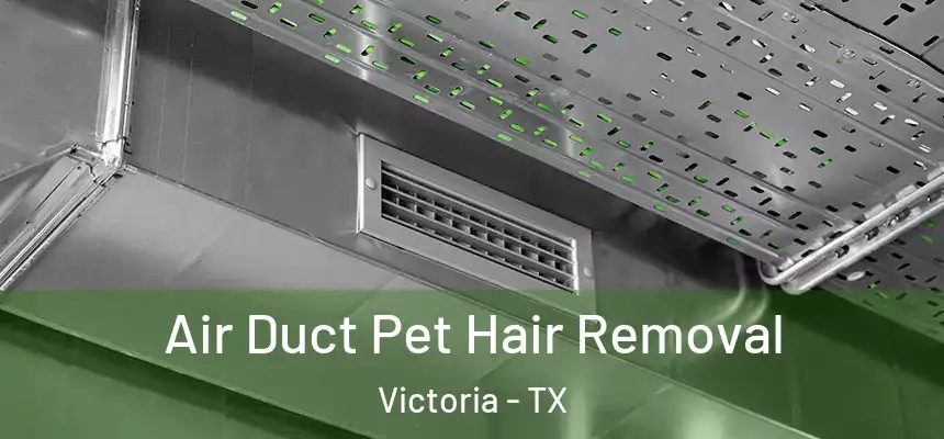 Air Duct Pet Hair Removal Victoria - TX