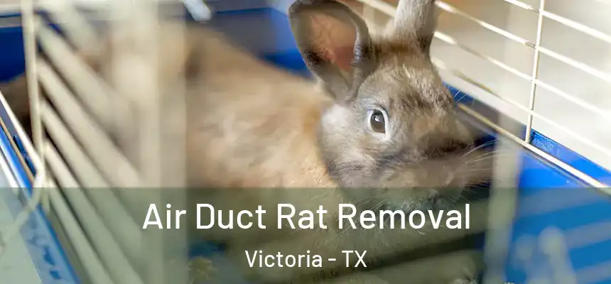 Air Duct Rat Removal Victoria - TX