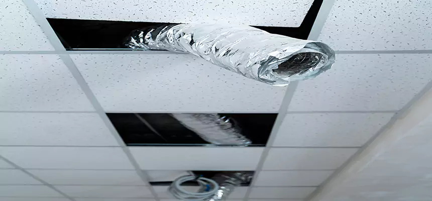 Our Air Duct Pet Hair Removal Services in Victoria, TX