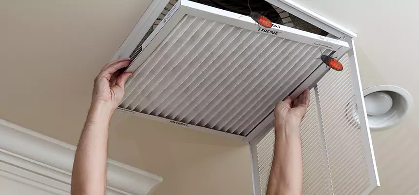 Our Insect Removal from Air Ducts Services in Victoria, TX