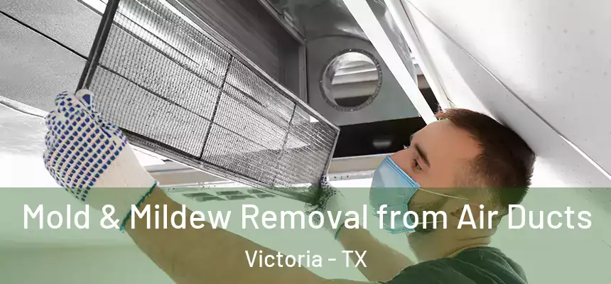  Mold & Mildew Removal from Air Ducts Victoria - TX