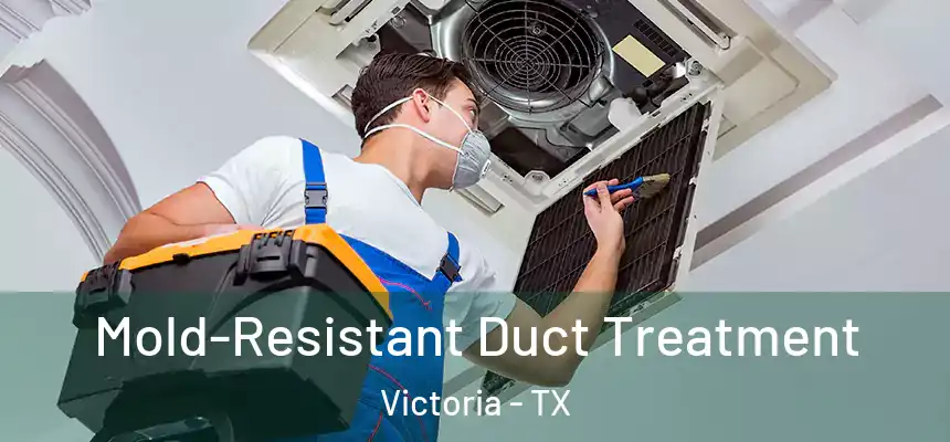 Mold-Resistant Duct Treatment Victoria - TX