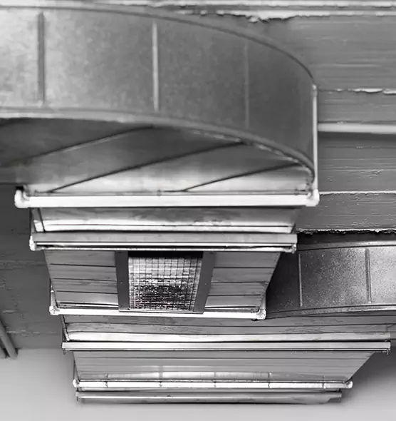 Professional Air Duct Pet Hair Removal in Victoria, TX