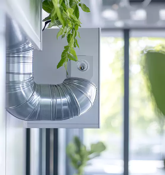 Professional Eco-Friendly Duct Cleaning Services in Victoria, TX