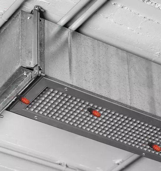 Affordable Insect Removal from Air Ducts in Victoria, TX
