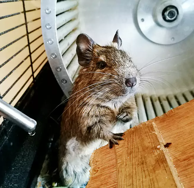 Why Homeowners & Businesses Trust Us Victoria, TX