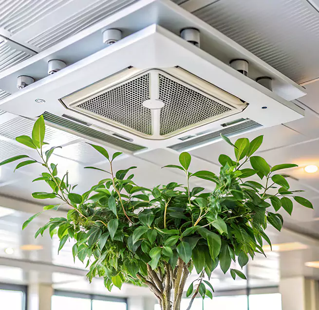 Why Homeowners & Businesses Trust Us in Victoria, TX?