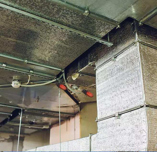 Why Homeowners & Businesses Trust Us Victoria, TX?